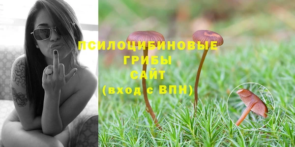 соль курить ск Арсеньев